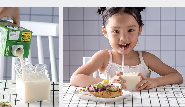 Square Milk Carton Glass
